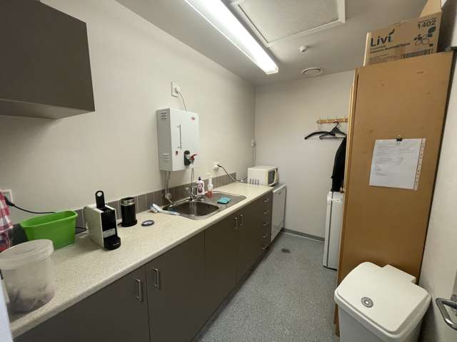 123 Ormiston Road Flat Bush_3