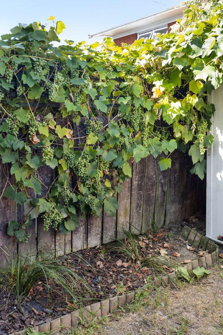 21a May Street Hamilton East_14