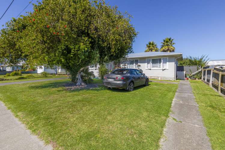 17 Gilray Avenue Maraenui_11