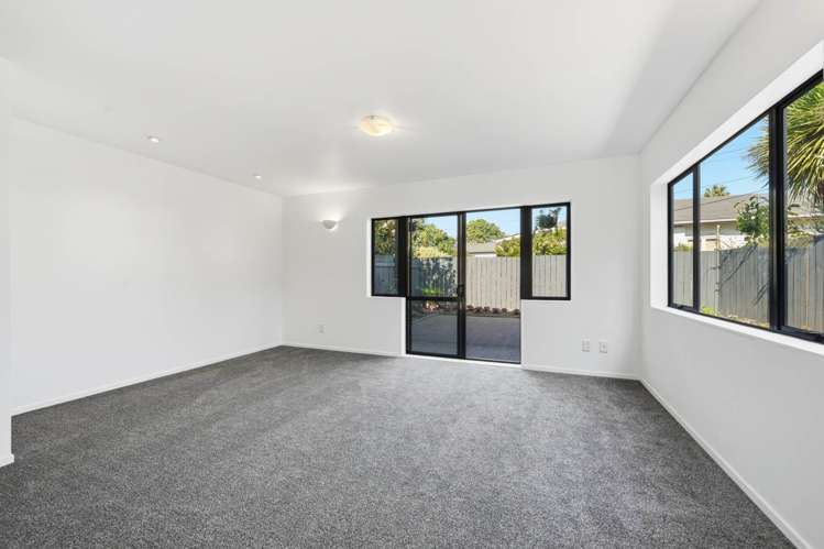 40A Wingate Street Avondale_18