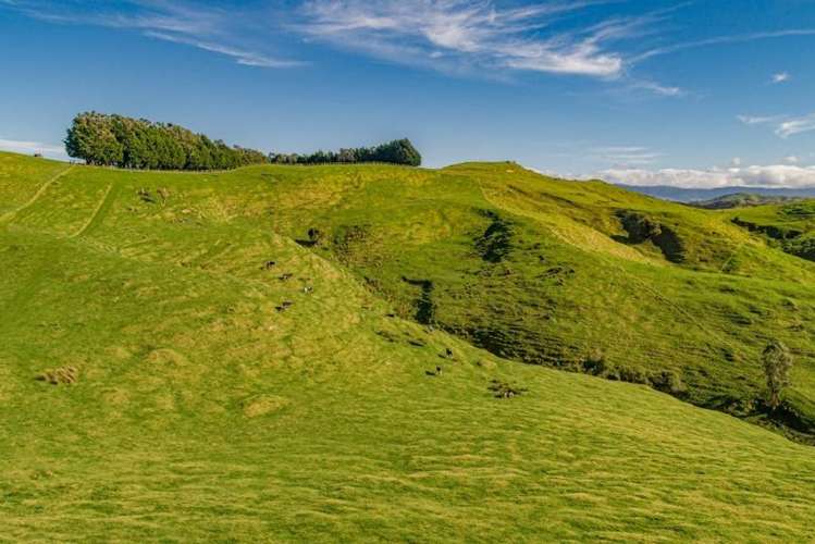 134 Bowen Road Eketahuna_12