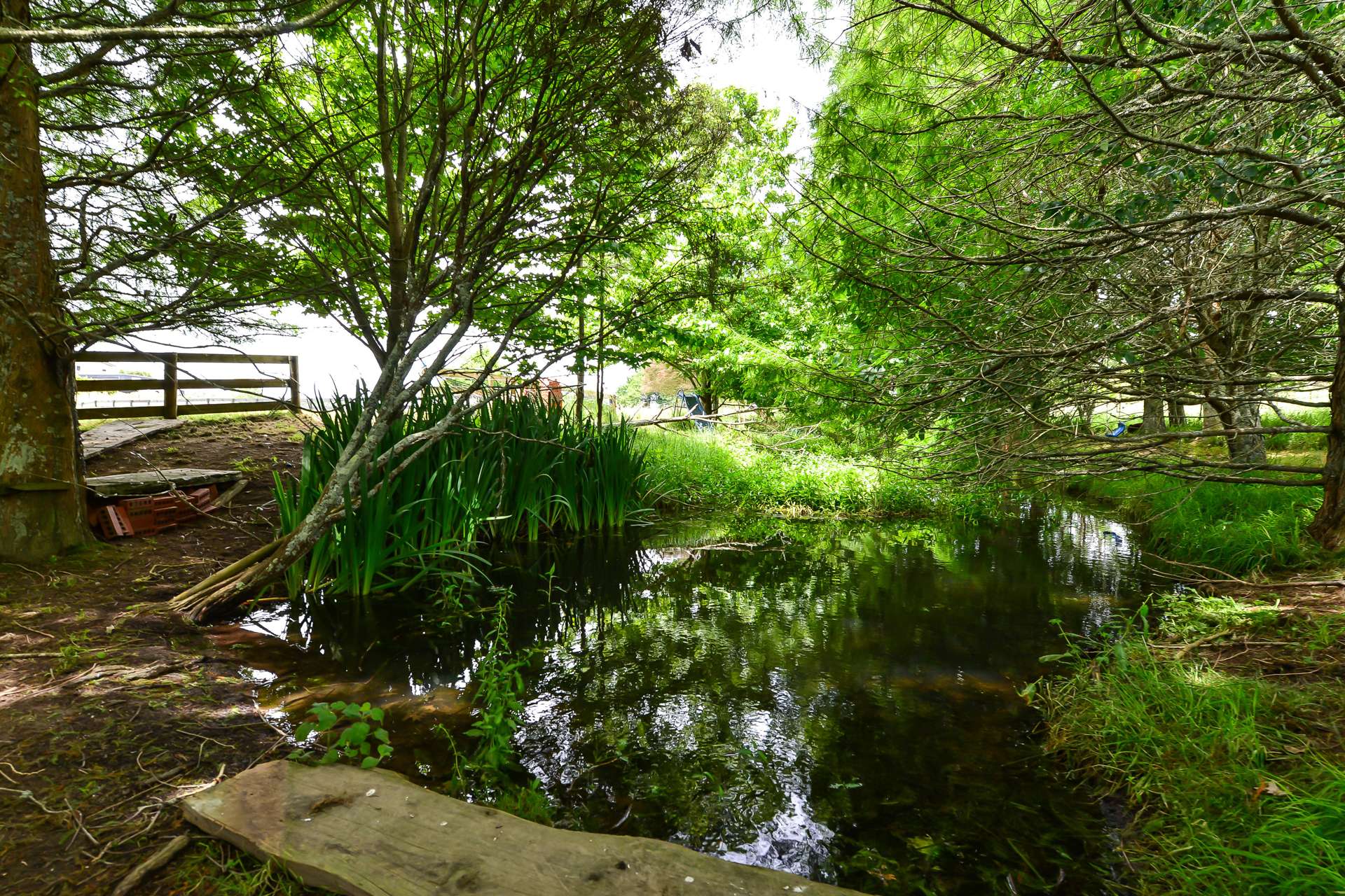 33 Mellow Road Ohaupo_0