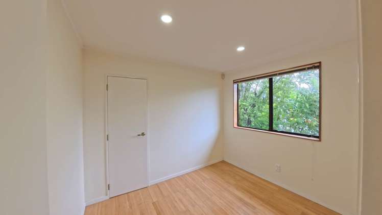 Dominion Road Mt Eden_6