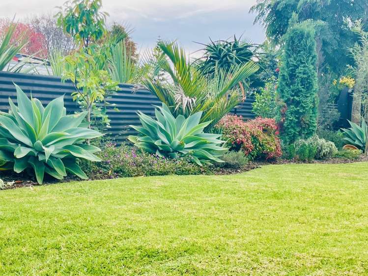 65b Dunlop Road Te Puke_25