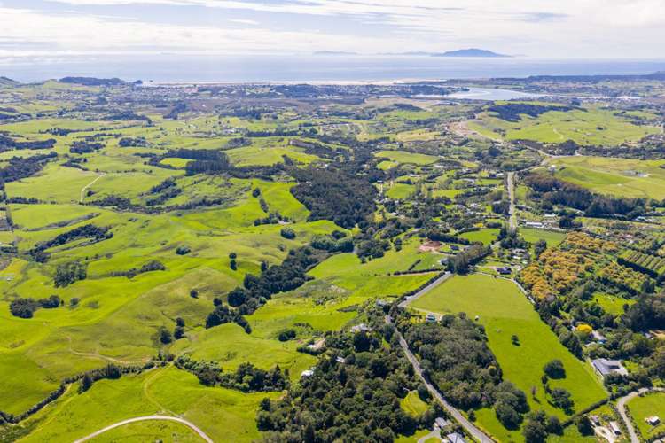 470a Tara Road Mangawhai_71