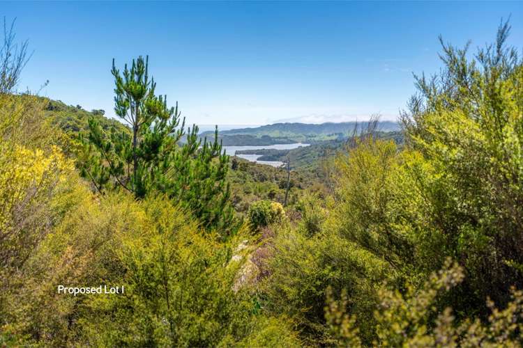 425 Pakawau Bush Road, Pakawau Golden Bay_6