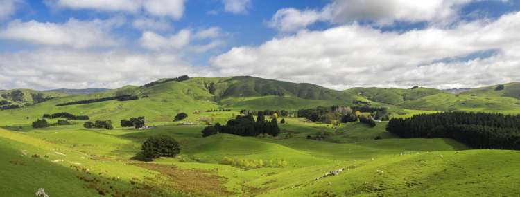 10284 Route 52 Pongaroa_9