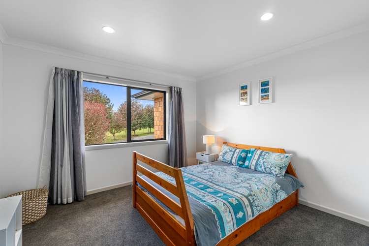 513 Seddon Road Gordonton_16