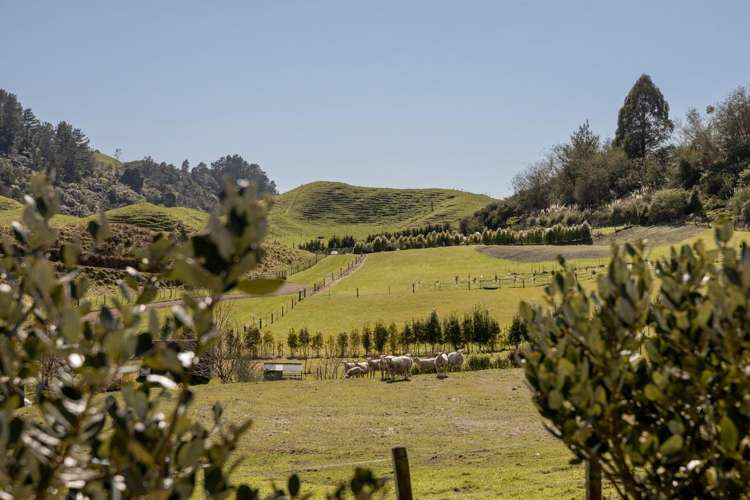 230b Withy Road Manawahe_8