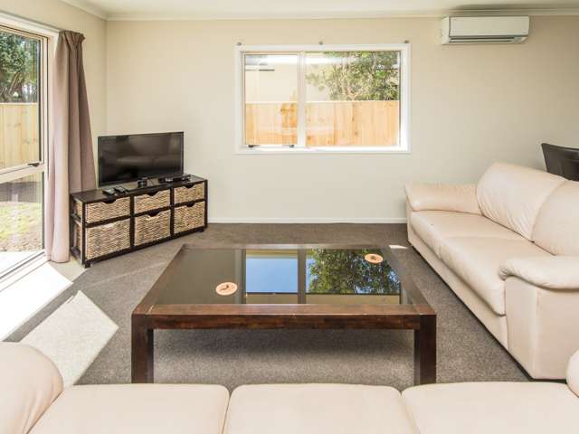 3 Plunket Street Durie Hill_2