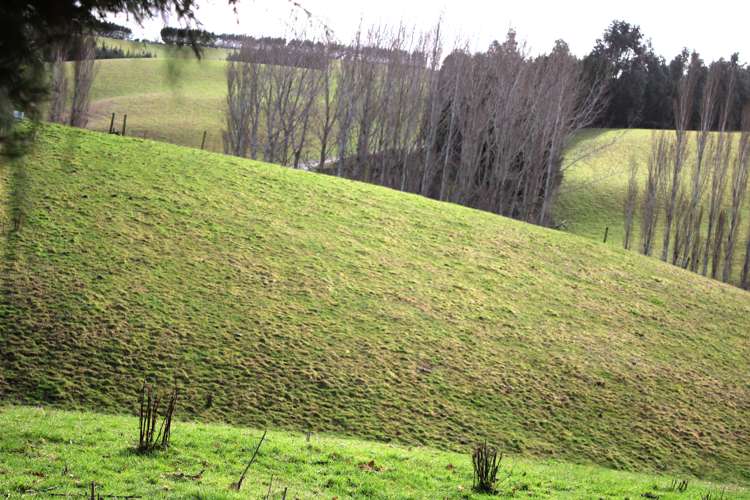 118 Old Port Road Catlins Surrounds_14