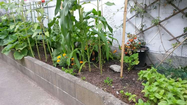 26 Jessie Street Te Aro_14