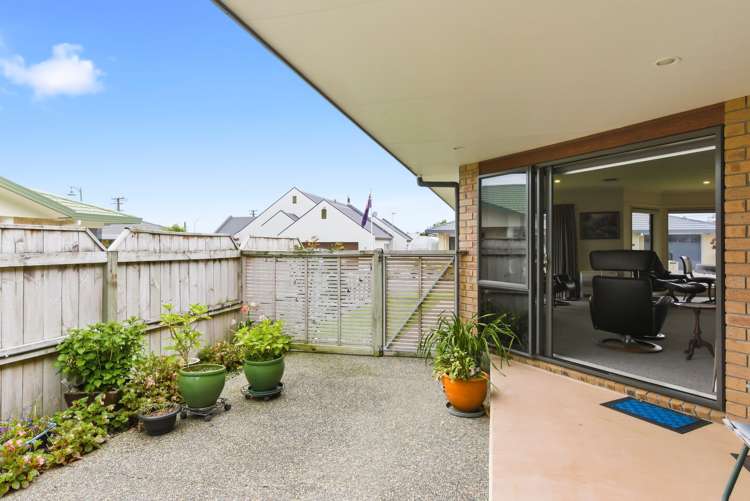 6 Campbell Grove Levin_17