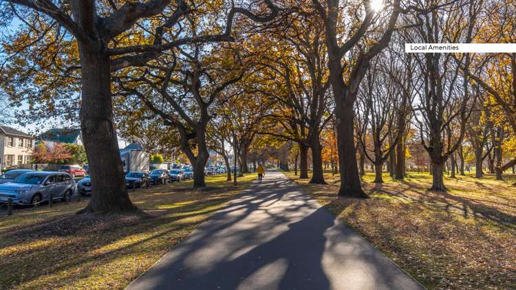 129 Deans Avenue Riccarton_15