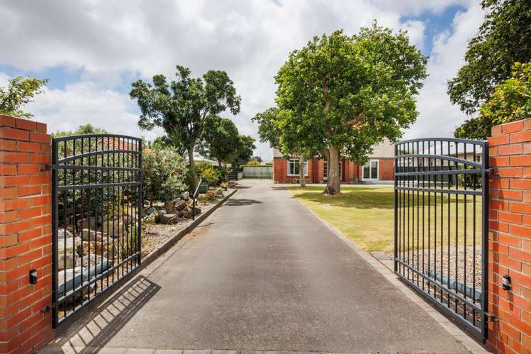 73 North Street Palmerston North City_45