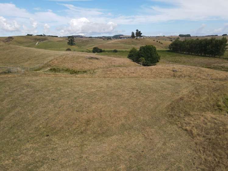 38a Native Road Pukekawa_10