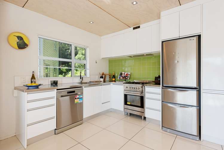 3a Anderson Terrace Mount Cook_5