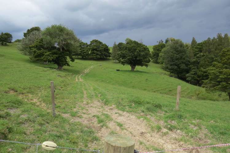 Taylor Road Taipa_18