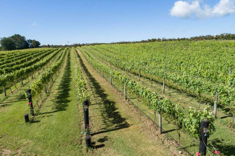 165A Waimate North Road Kerikeri_12