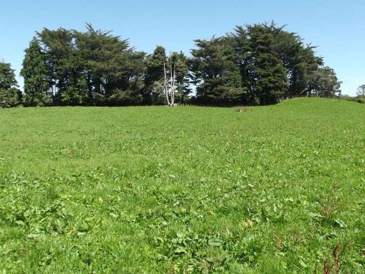 3082 Mountain Road Midhirst_8