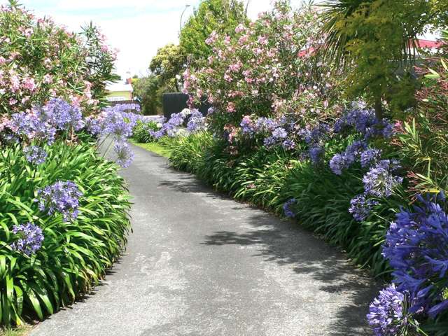 4/95 Ash Street Avondale_2