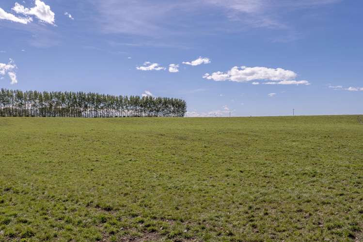 904 Dip Road Methven_20