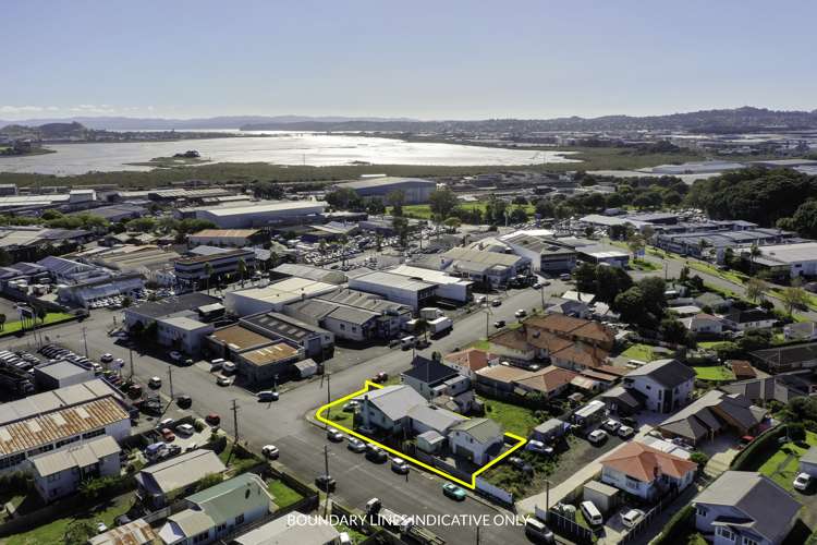 22 Pukeiti Road Otahuhu_9