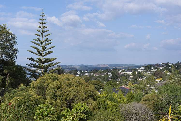 50 Alexander Street Cockle Bay_10