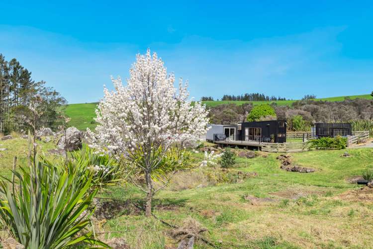 217 Wiroa Road Kerikeri_18