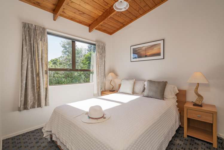 37 Oyster Drive Cooks Beach_6