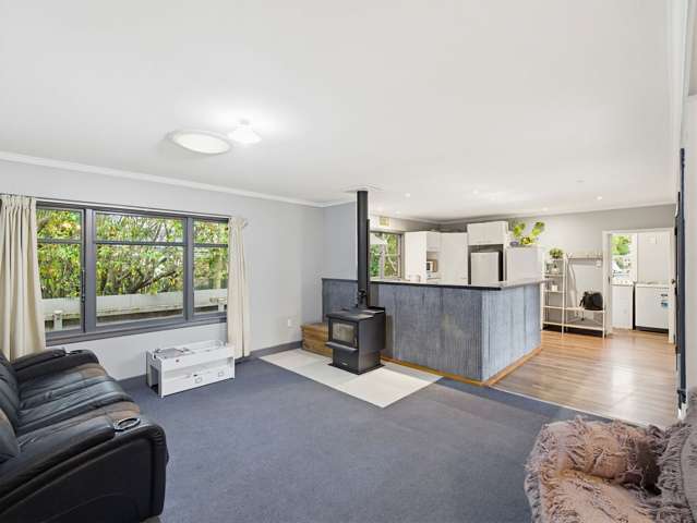 212 Walnut Ave Ashburton_3