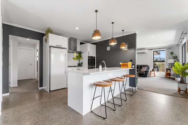 12d No 2 Road Te Puke_1