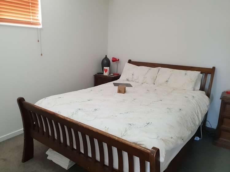 100a Mcbride Street Frankton_6