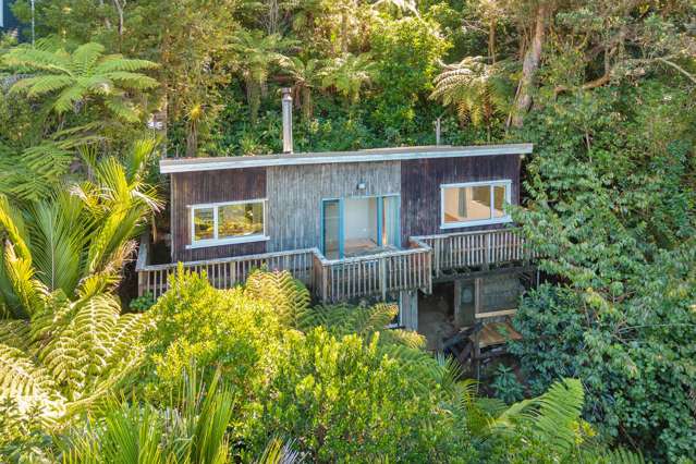 Unlock the Potential - Treetop Retreat!
