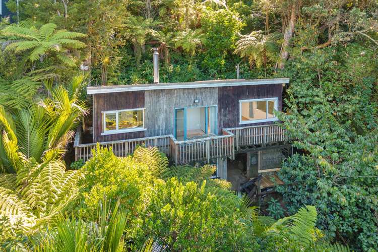 45 Takahe Road Titirangi_13