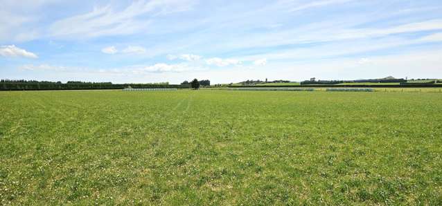 391A Otama Road Otama_2