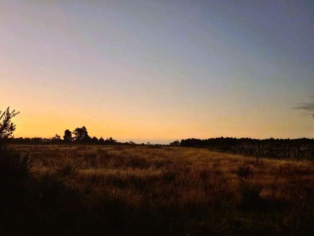 Bare land, endless potential