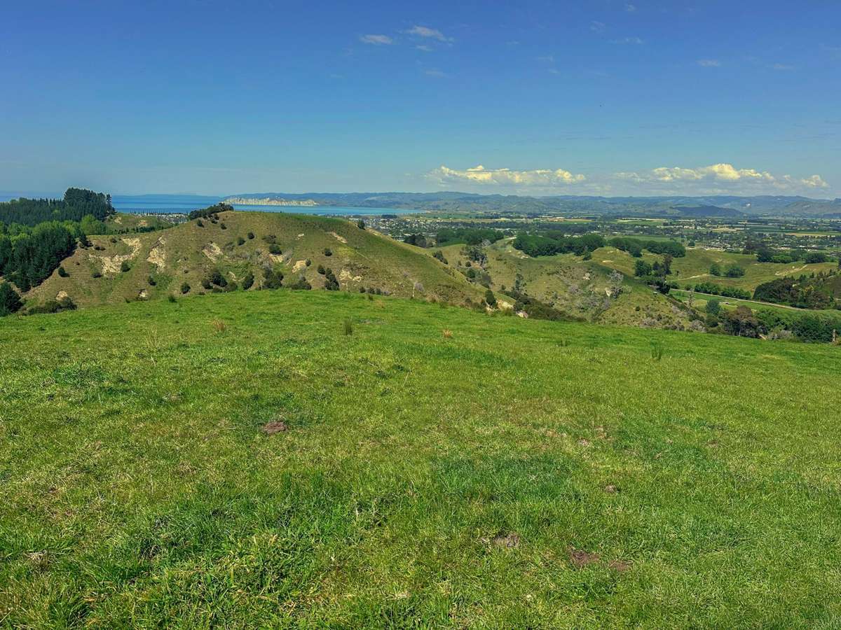 Matokitoki Valley Road_1