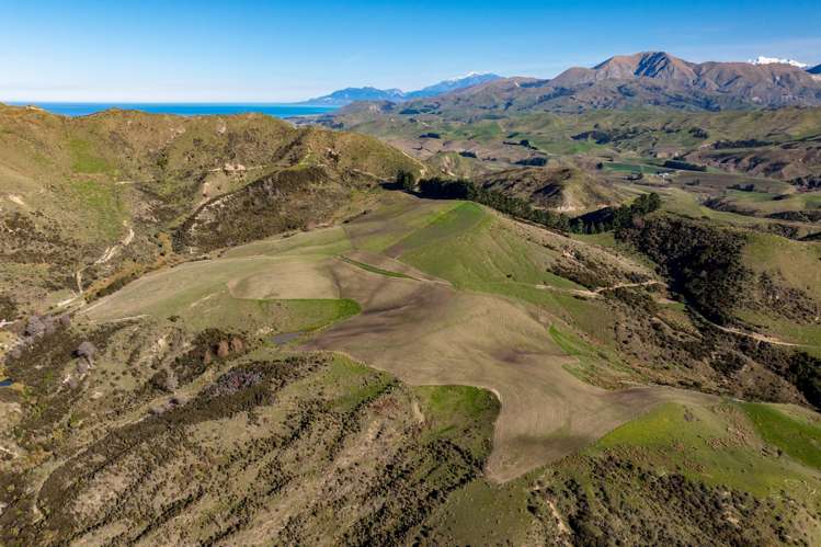 7611 State Highway 1 Ward_13