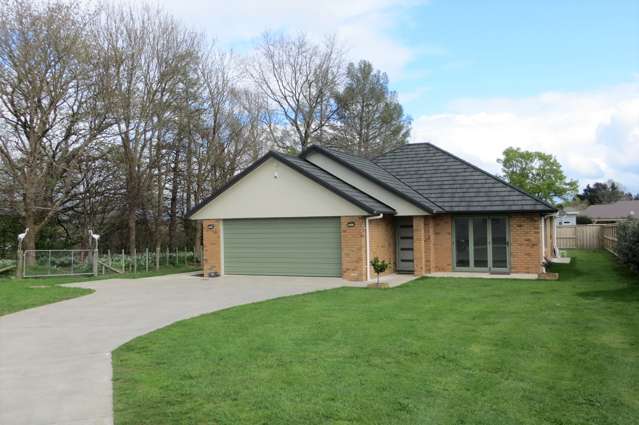 64 Ritchie Street Te Aroha_1