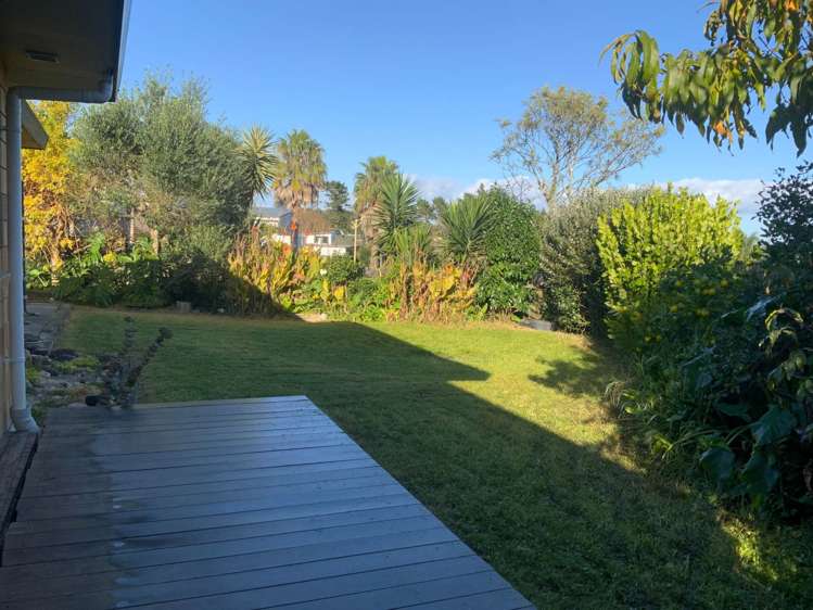 6 Pitoitoi Avenue Greenhithe_13