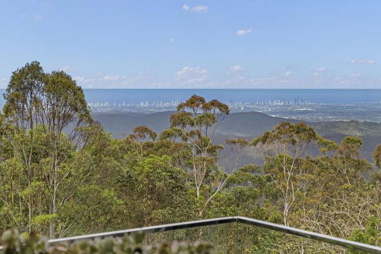 99 Guanaba Road Tamborine Mountain_9