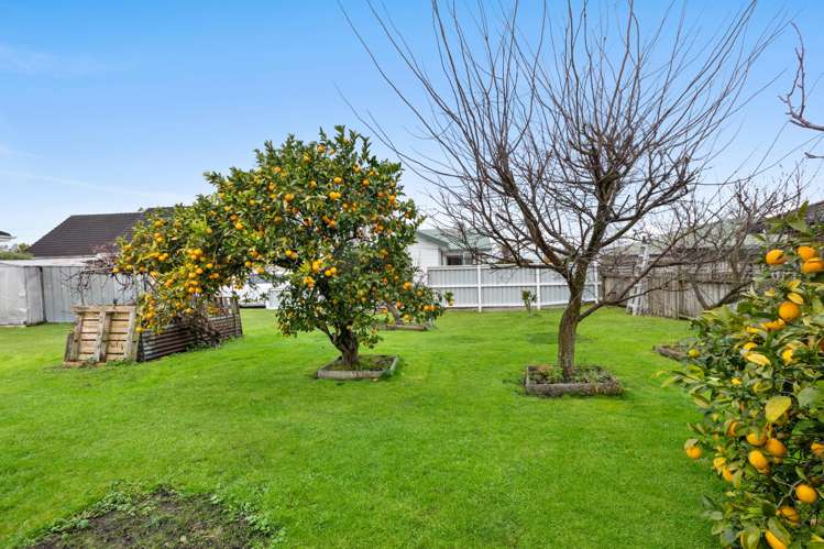 57 Moorhouse Street Morrinsville_14