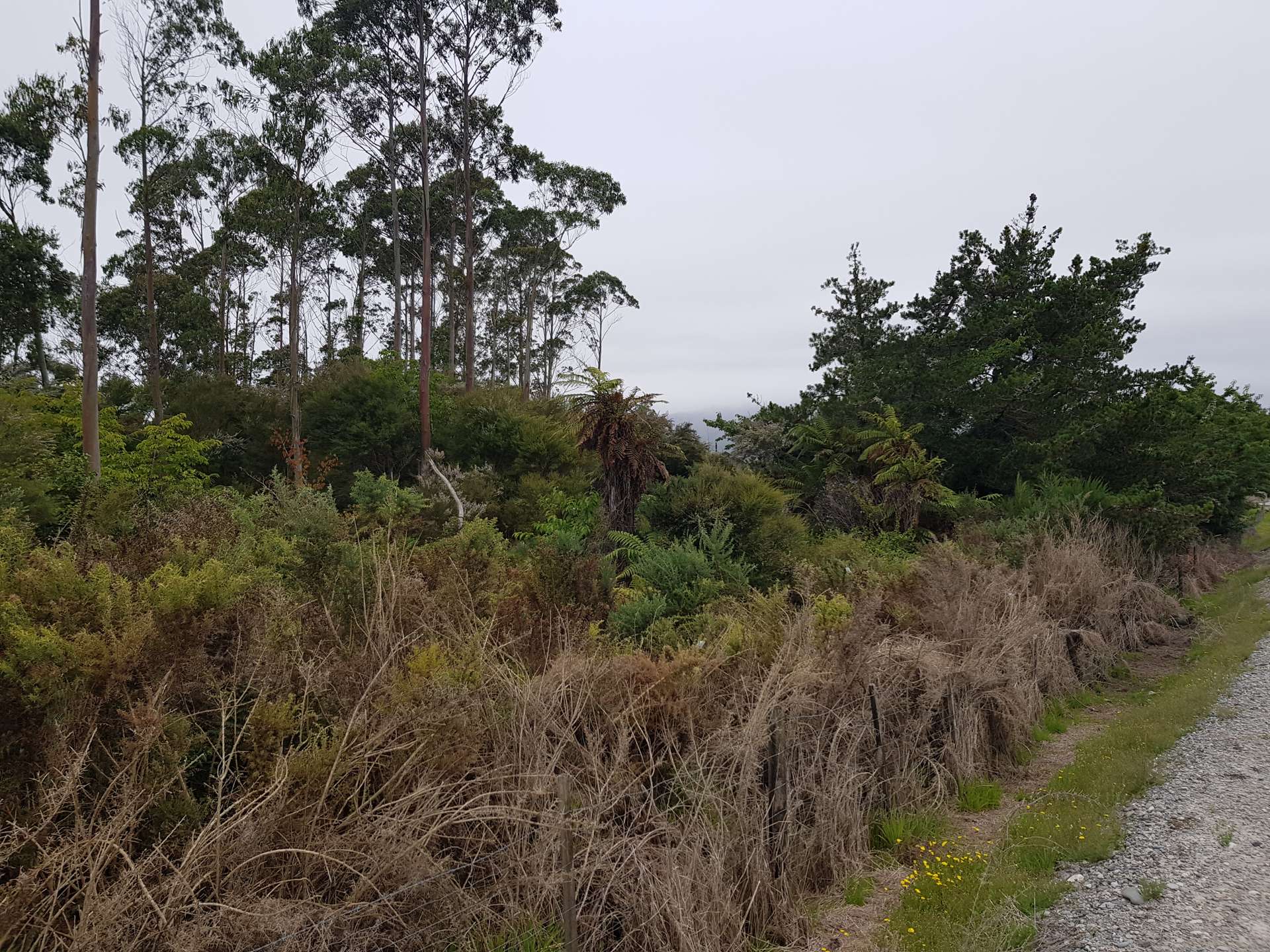 274 Utopia Road Westport_0