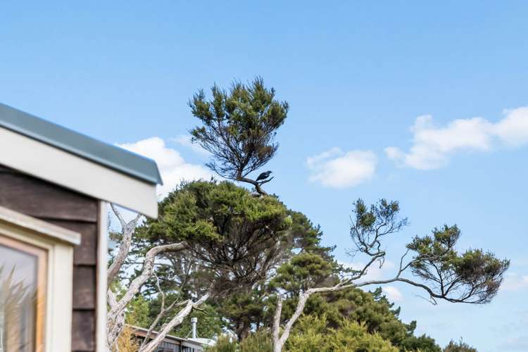 20 Oruamo Place Beach Haven_28