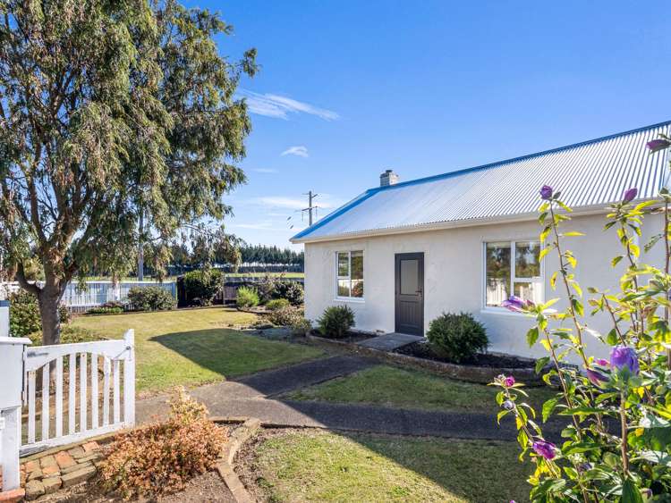 124 Weraroa Road Waverley_27