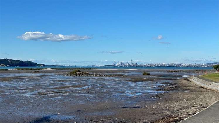 1/46 Gill Avenue Te Atatu Peninsula_0