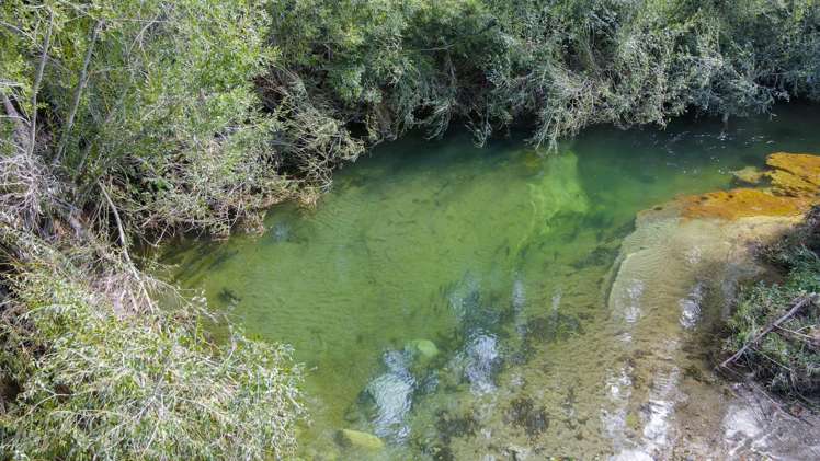 80 Hampson Place Hamurana_33