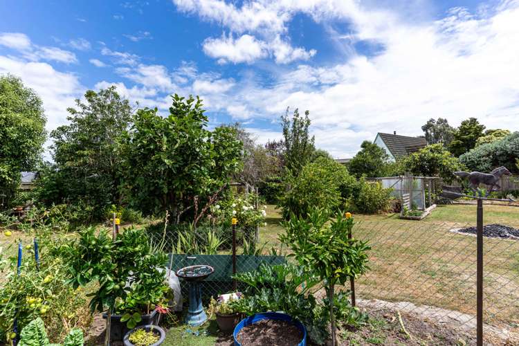 124 High Street Bulls_15