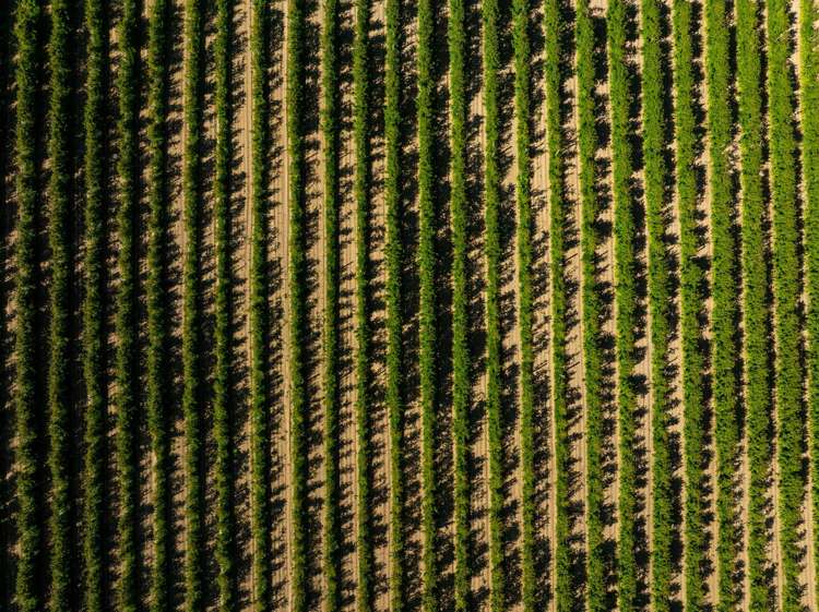 160 Tadmor Valley Road Tapawera_11